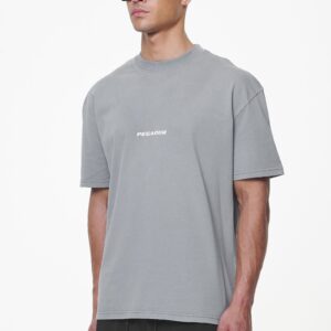 Colne Logo Oversized Tee Heavy Washed Cool Grey